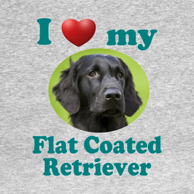 I Love My Flat Coated Retriever by Naves